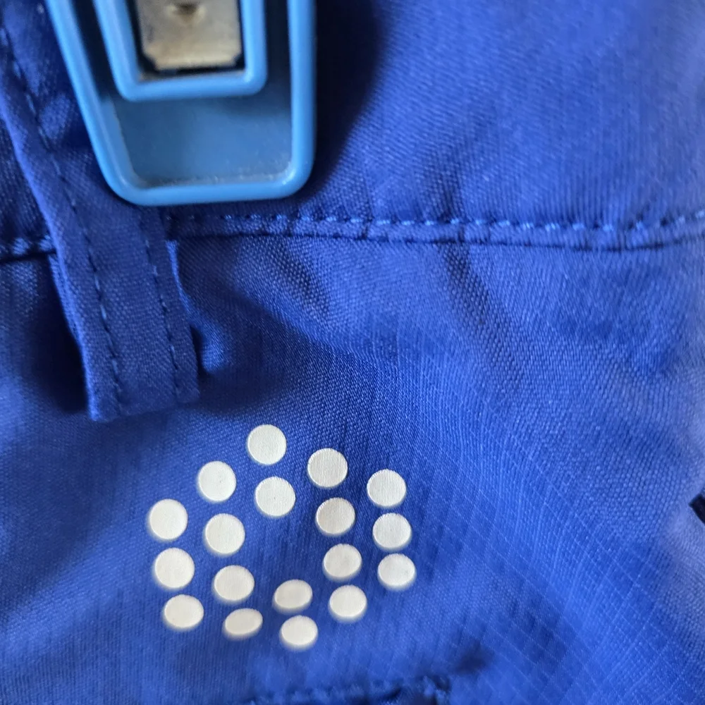 Puma Royal Blue Boys Shorts with Grey Logo Tag, Size L.